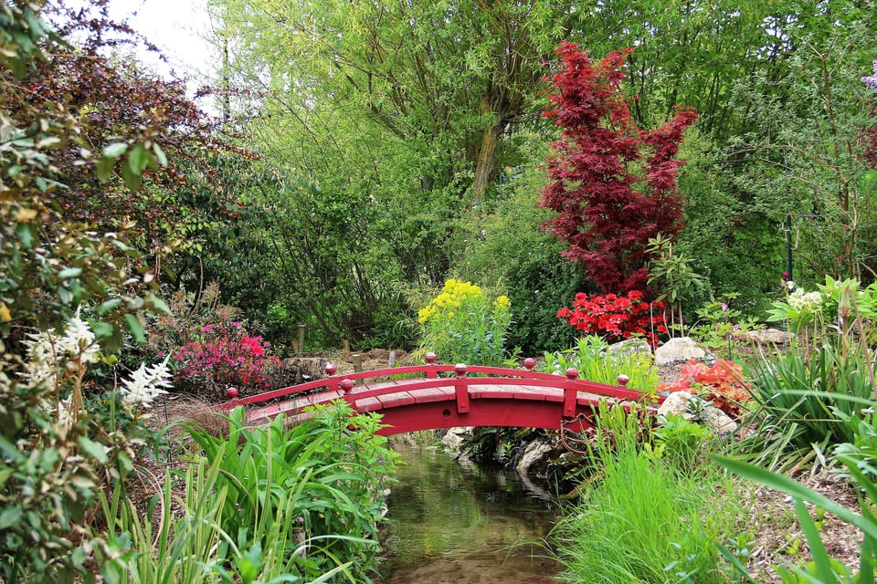 Pont du massif anglo-japonais Charmant jardin paysager de style anglo-japonais, richement végétalisé, avec un petit pont japonais rouge traversant un ruisseau. Autour du pont, on trouve une abondance de plantes colorées, notamment un érable japonais pourpre, une azalée rose, une euphorbe des marais jaunes et des feuillages variés. La végétation luxuriante, dominée par des arbustes verts et fleuris, crée une atmosphère paisible et harmonieuse.