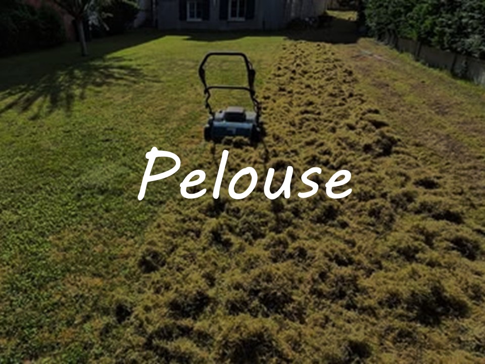 Mes prestations - Pelouse
