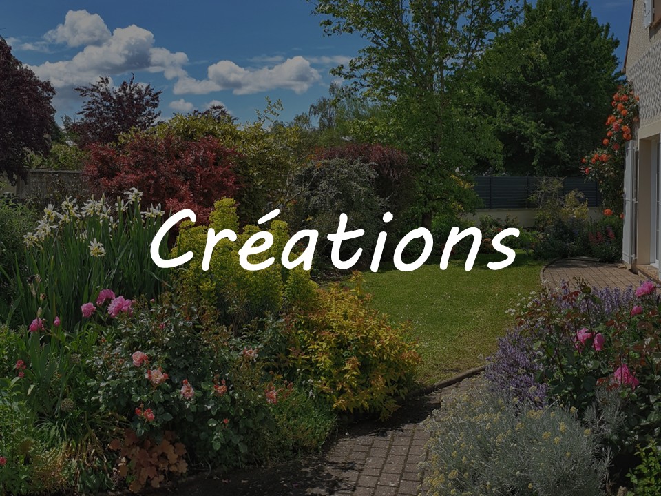 Mes prestations - Créations