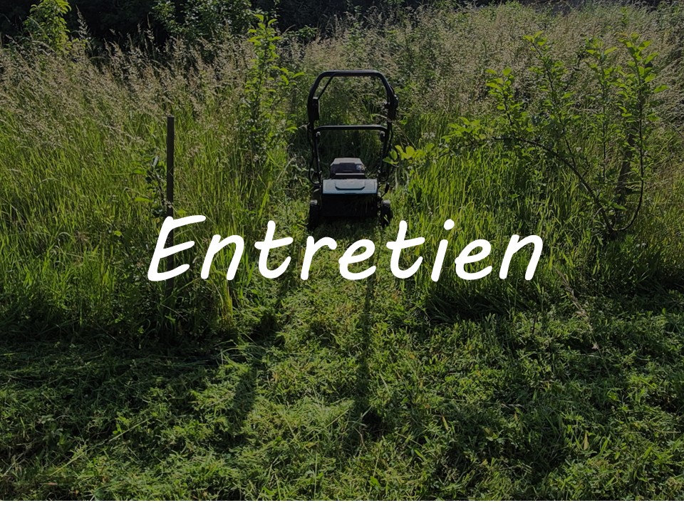 Mes prestations - Entretien