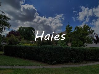 Mes prestations - Haies